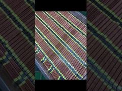 مصباح معالجة بالأشعة فوق البنفسجية عالية الكثافة من الشركة المصنعة للمعدات الأصلية (OEM) بعمر افتراضي 20000 ساعة لطابعة نفث الحبر​